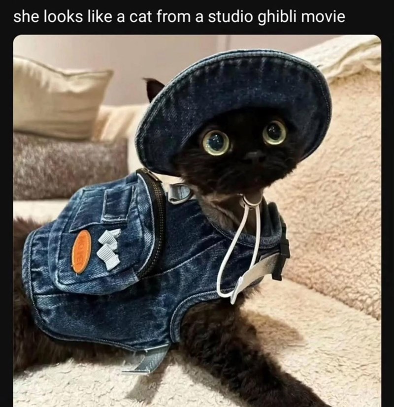 she-looks-like-cat-studio-ghibli-movie