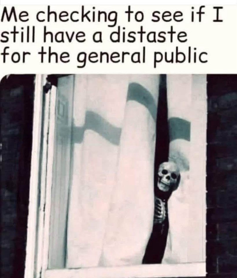 checking-see-if-still-have-distaste-general-public