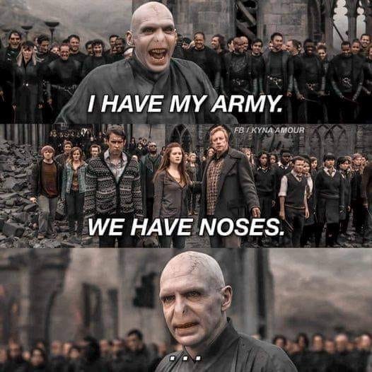 have-my-army-fb-kyna-amour-have-noses