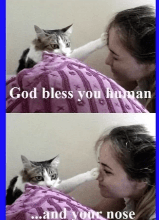 god-bless-human-and-nose