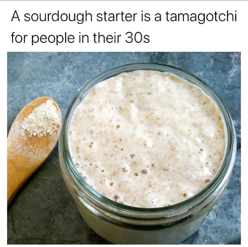 sourdough-starter-is-tamagotchi-people-their-30s