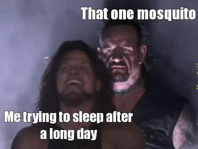one-mosquito-trying-sleep-after-long-day