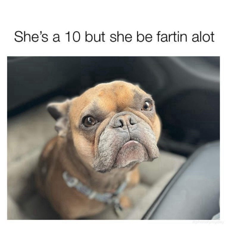 shes-10-but-she-be-fartin-alot-9-photolymyday