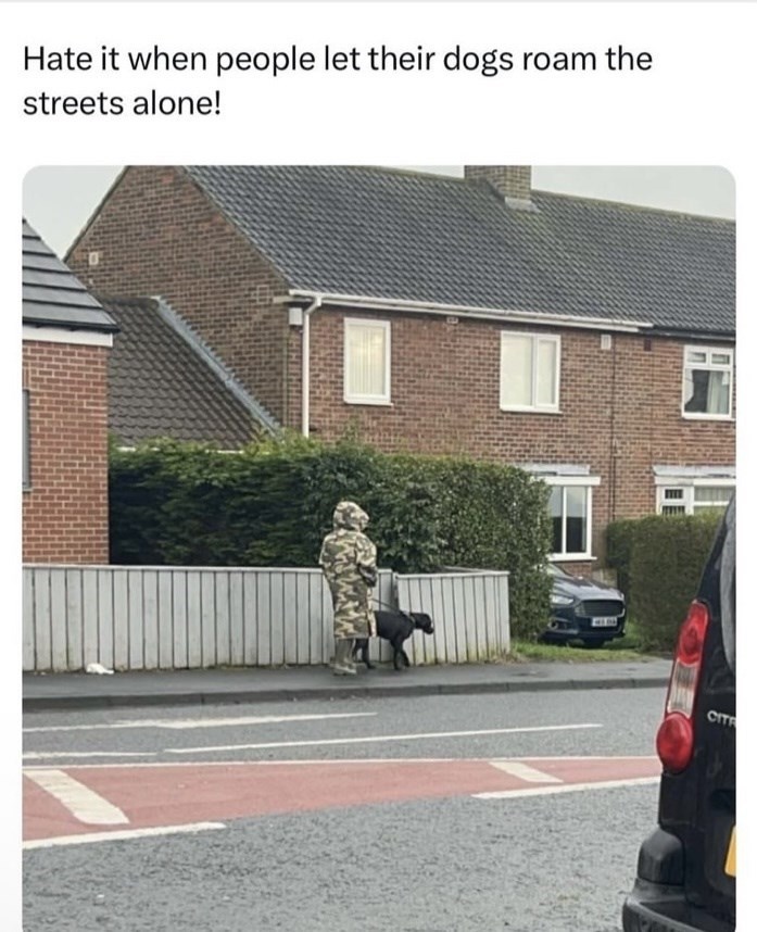 hate-people-let-their-dogs-roam-streets-alone-cit