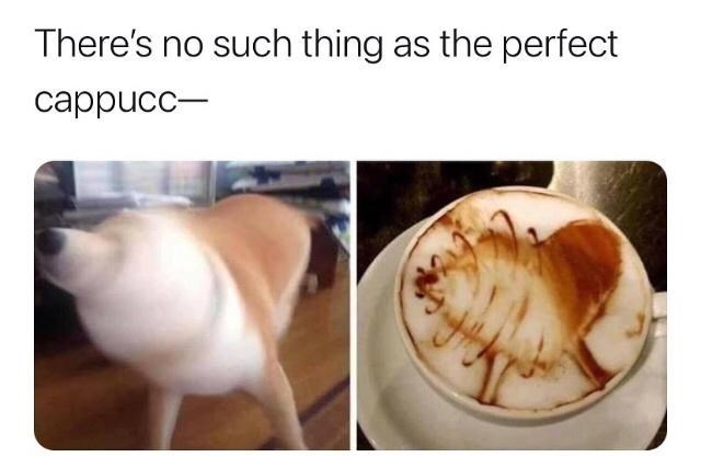 theres-no-such-thing-as-perfect-cappucc