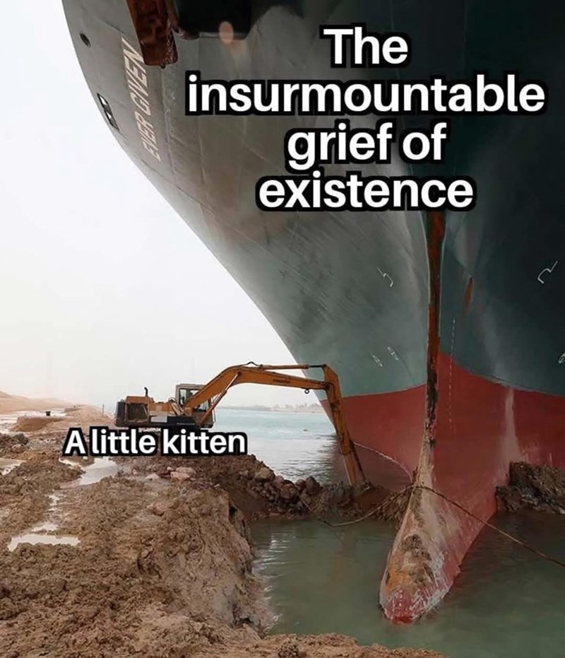 insurmountable-grief-existence-little-kitten
