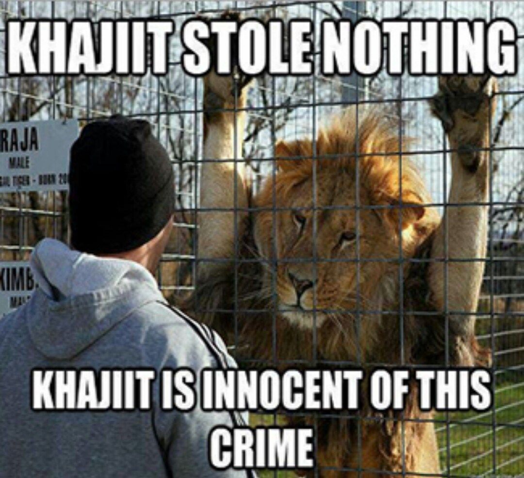 Caged-Lion-Khajiit-Meme.jpg