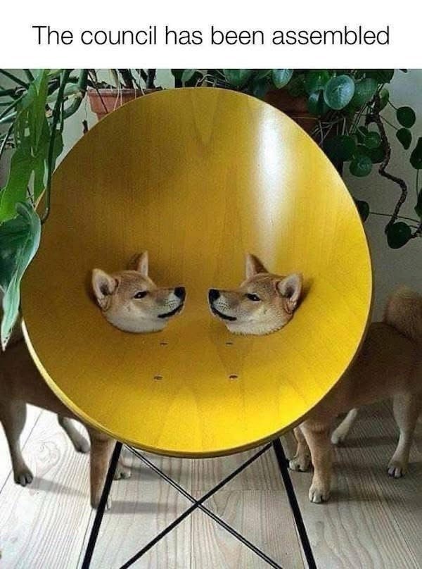 council-has-been-assembled