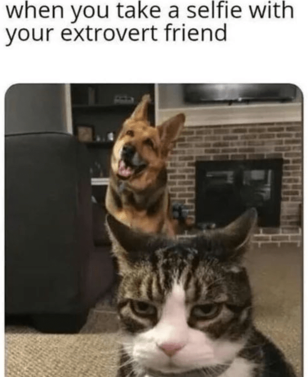 take-selfie-with-extrovert-friend-b