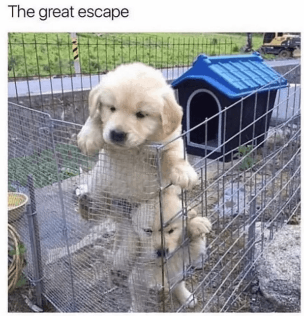 great-escape
