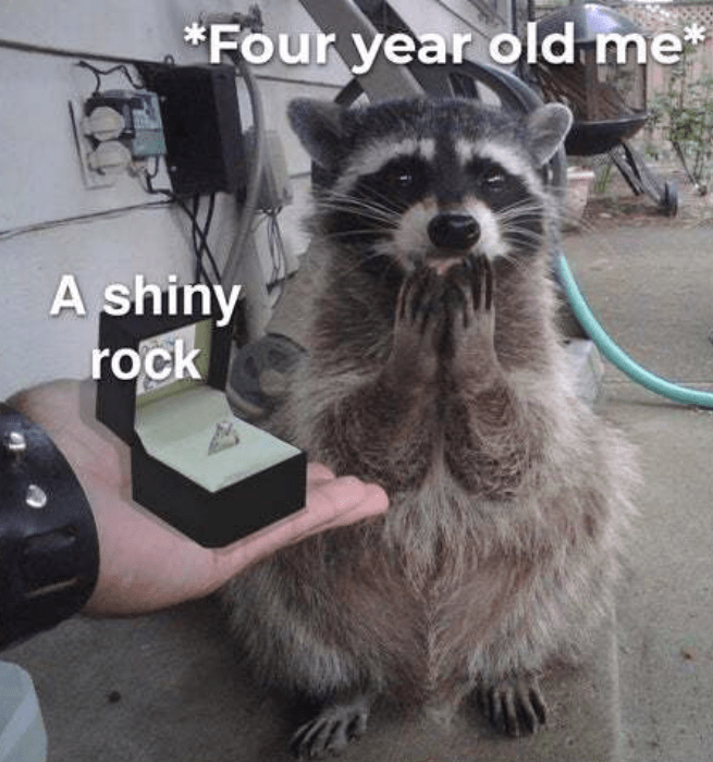 four-year-old-shiny-rock