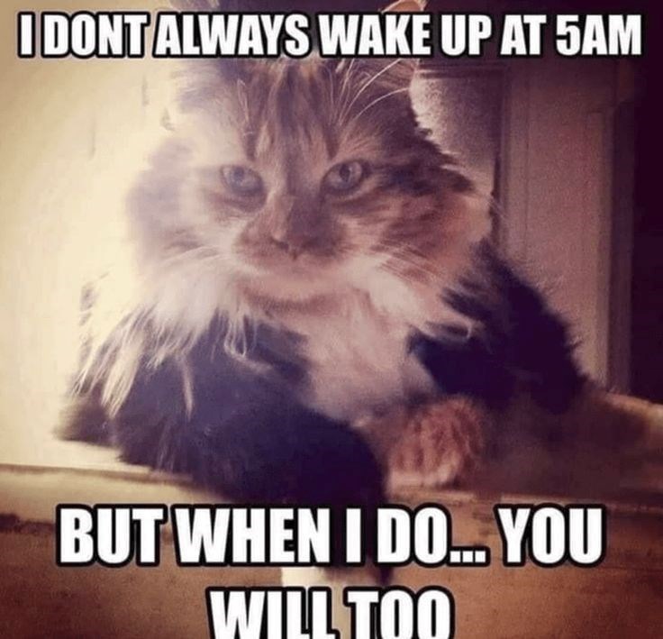 dont-always-wake-up-at-5am-but-do-willtoo
