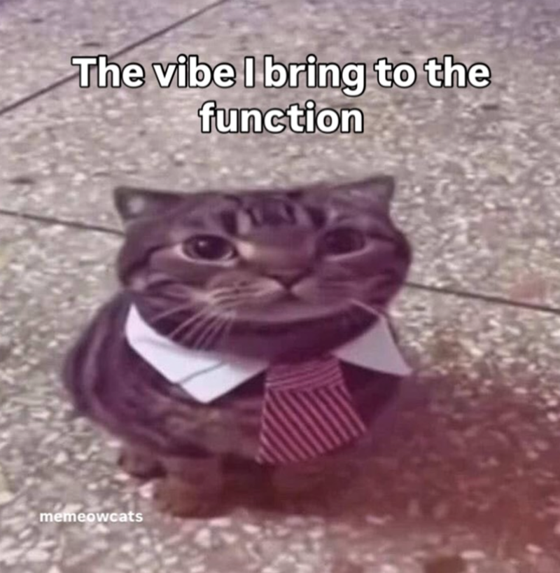 vibe-bring-function-memeowcats