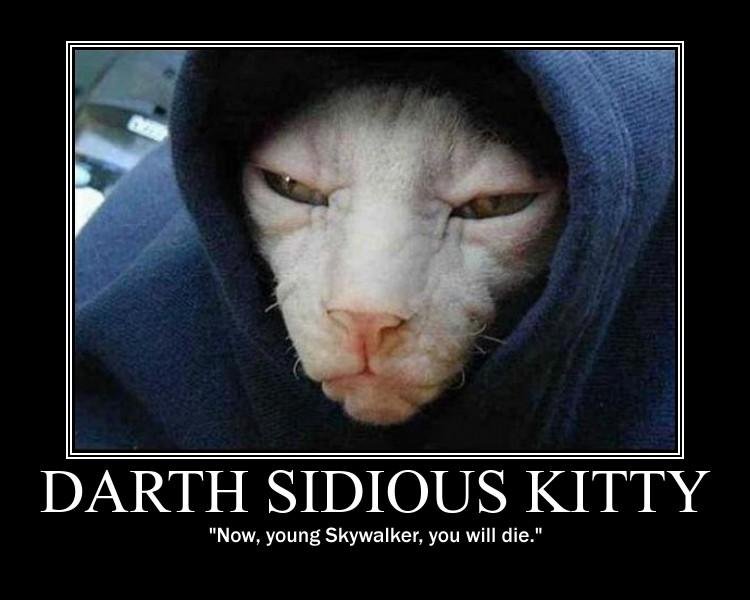 Darth_5344ff_236512.jpg