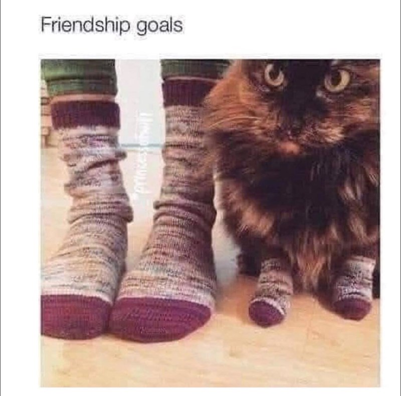 friendship-goals