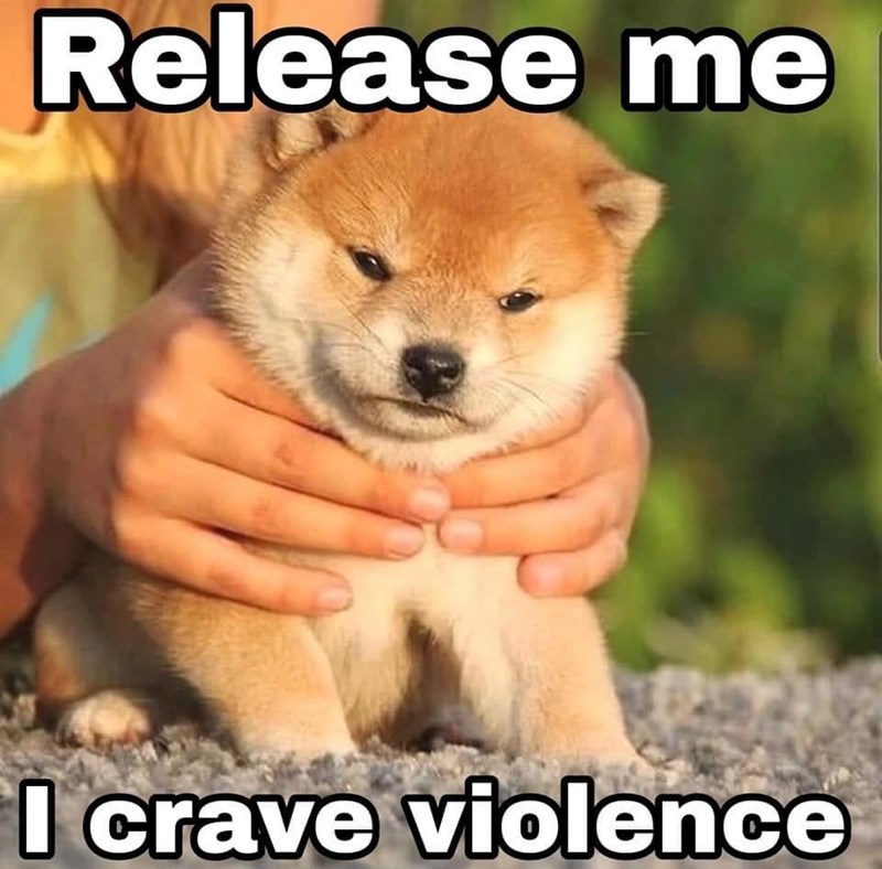 dog-release-crave-violence
