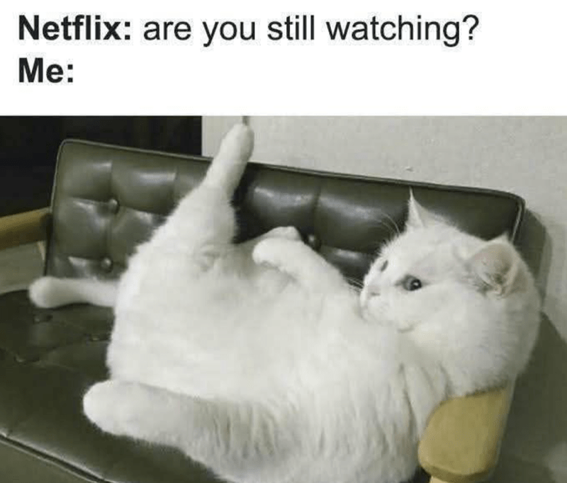 netflix-are-still-watching