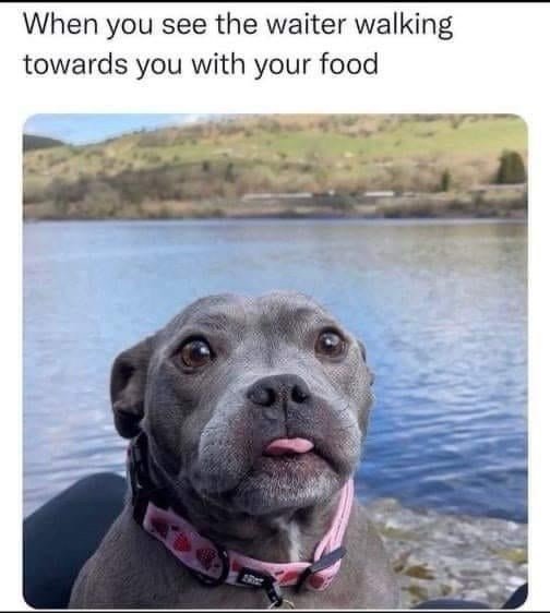 see-waiter-walking-towards-with-food