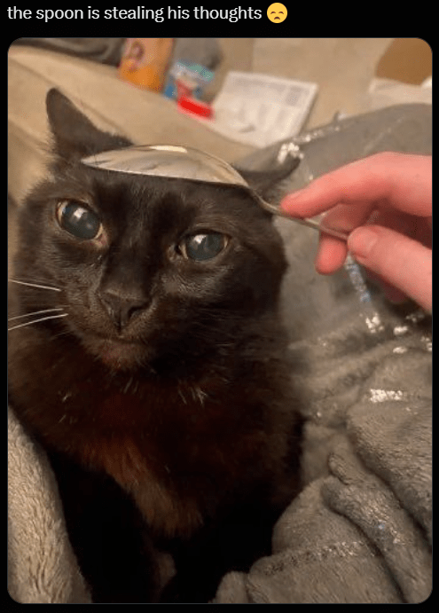 spoon-is-stealing-his-thoughts