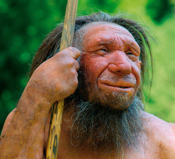 image_5355_1-Neanderthal.jpg