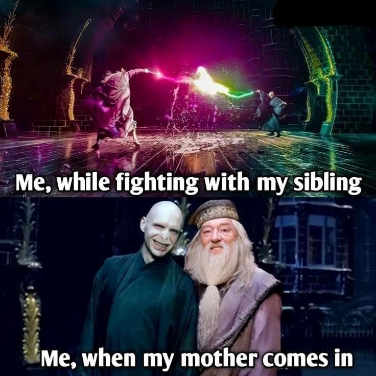 while-fighting-with-my-sibling-my-mother-comes