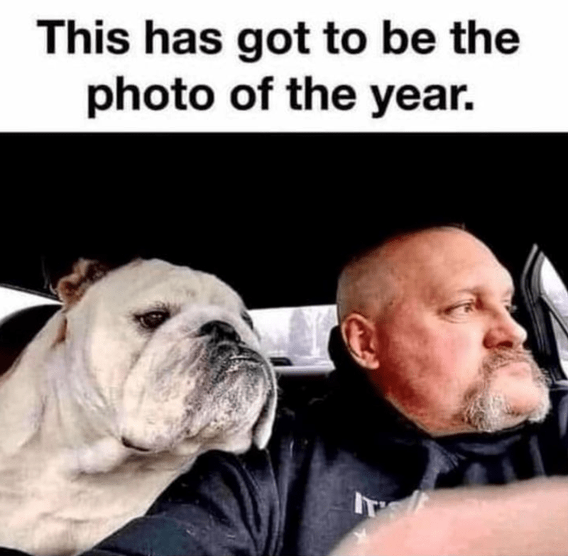 this-has-got-be-photo-year