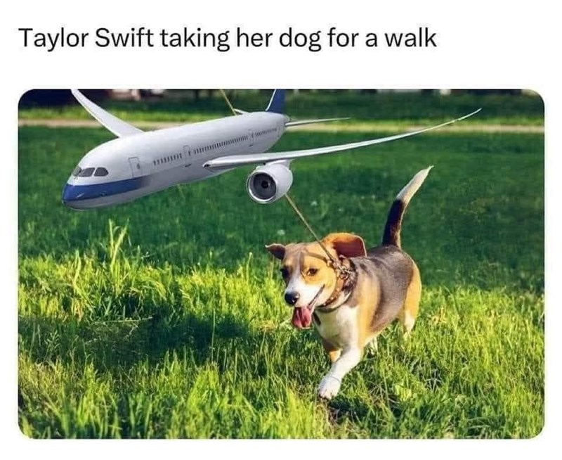 taylor-swift-taking-her-dog-walk