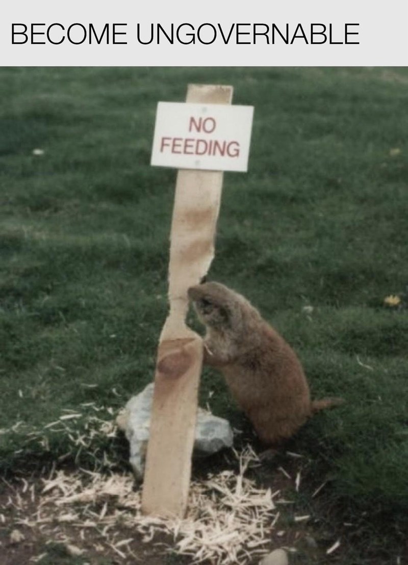 become-ungovernable-no-feeding