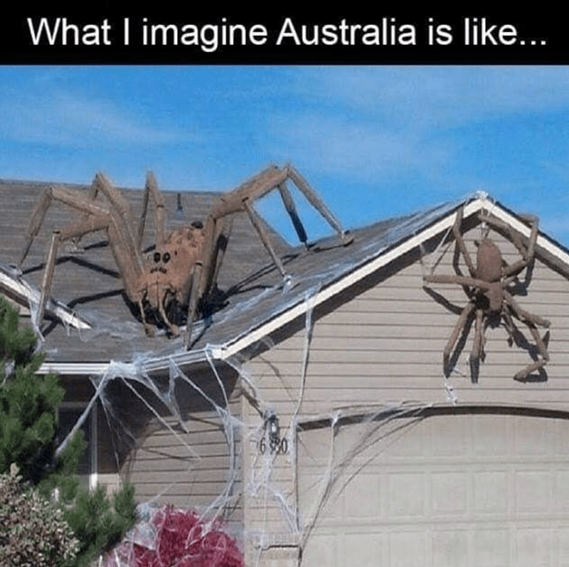 imagine-australia-is-like-60