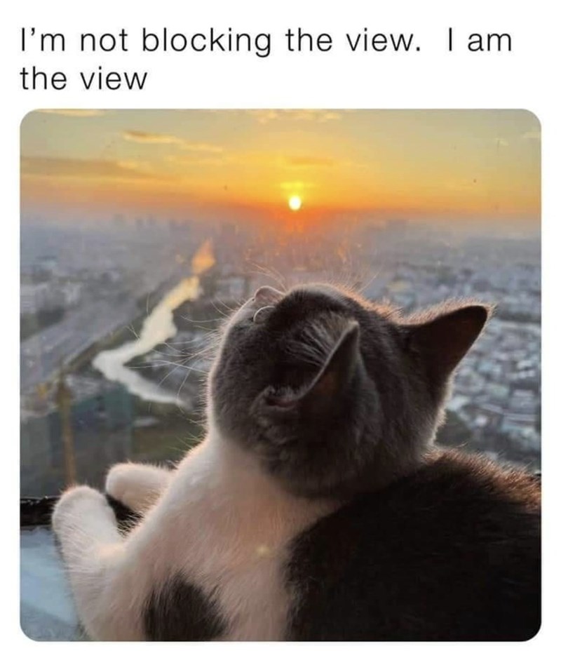 not-blocking-view-am-view