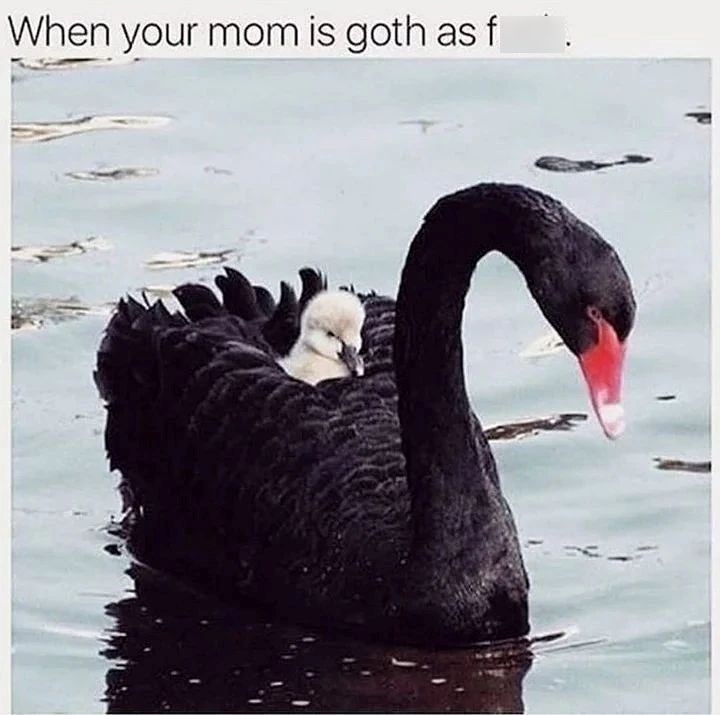 mom-is-goth-as-fuck