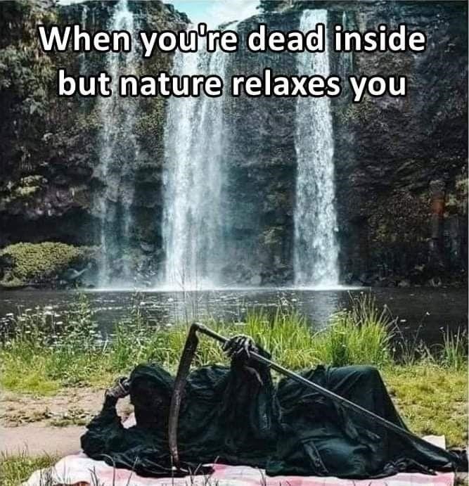 dead-inside-but-nature-relaxes