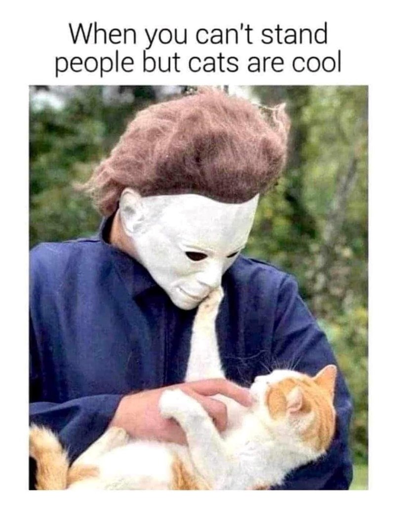 cant-stand-people-but-cats-are-cool