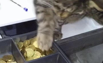 i-need-this-for-bus-fare