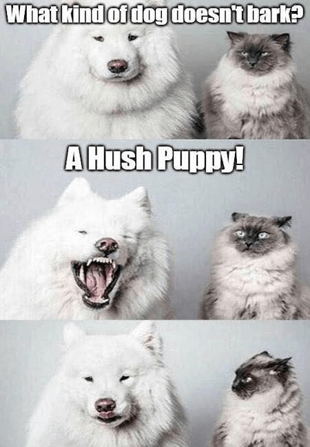 kind-dog-doesnt-bark-hush-puppy