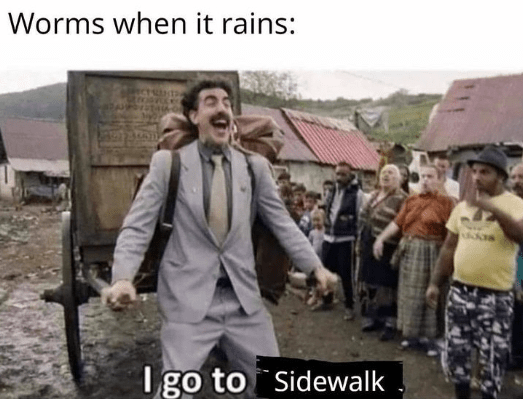 worms-rains-go-sidewalk