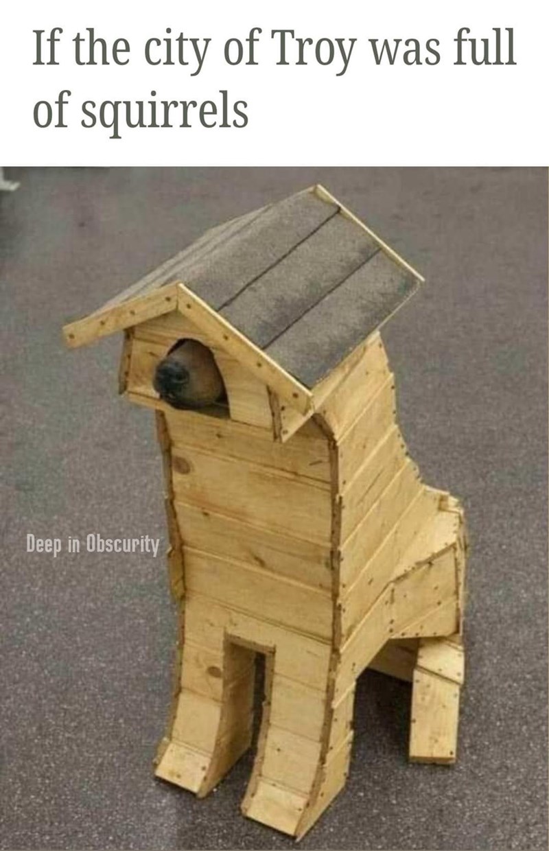 if-city-troy-full-squirrels-deep-obscurity