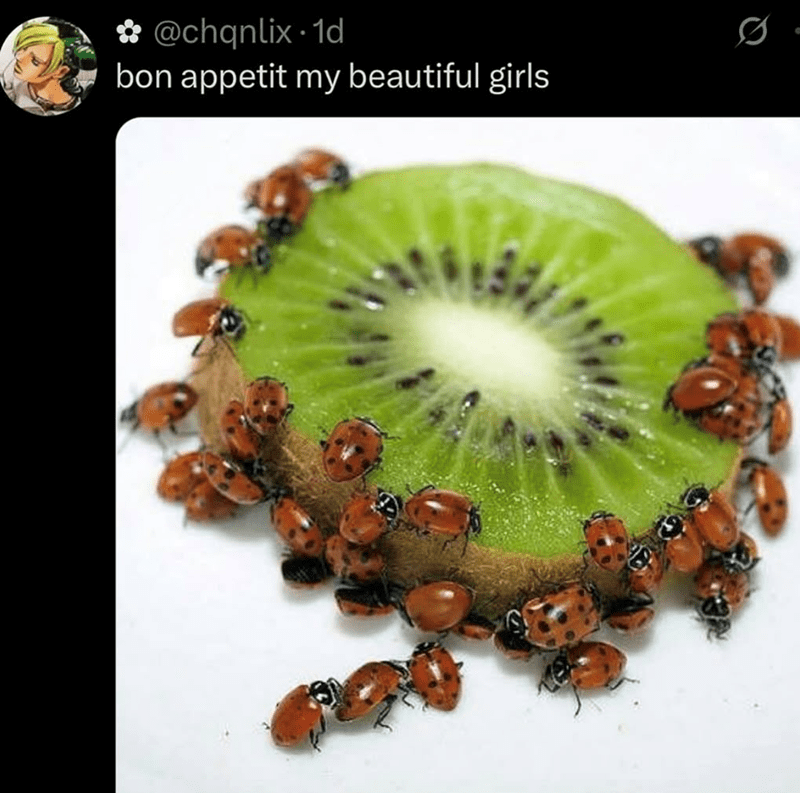 chqnlix-1d-bon-appetit-my-beautiful-girls-0