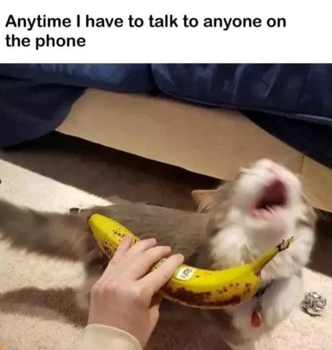 anytime-have-talk-anyone-on-phone