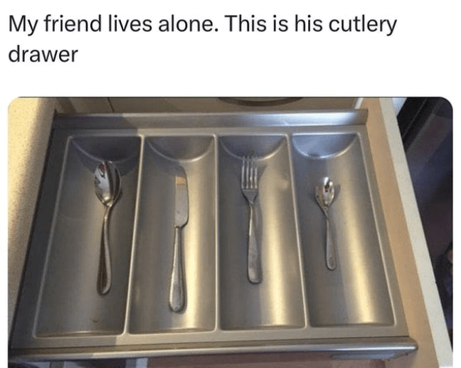 my-friend-lives-alone-this-is-his-cutlery-drawer