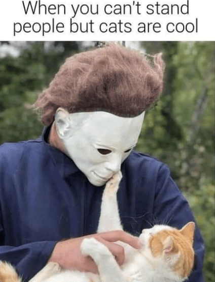 cant-stand-people-but-cats-are-cool