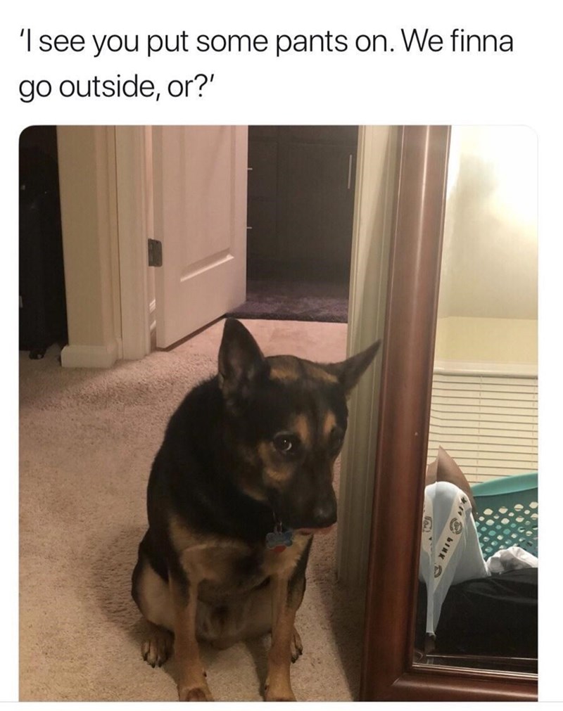 see-put-some-pants-on-finna-go-outside-or-bink