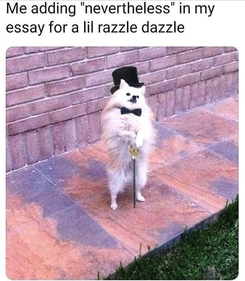 adding-nevertheless-my-essay-lil-razzle-dazzle
