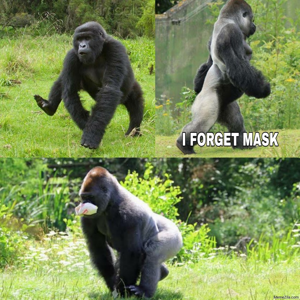 Gorilla-forgot-mask-meme-6495