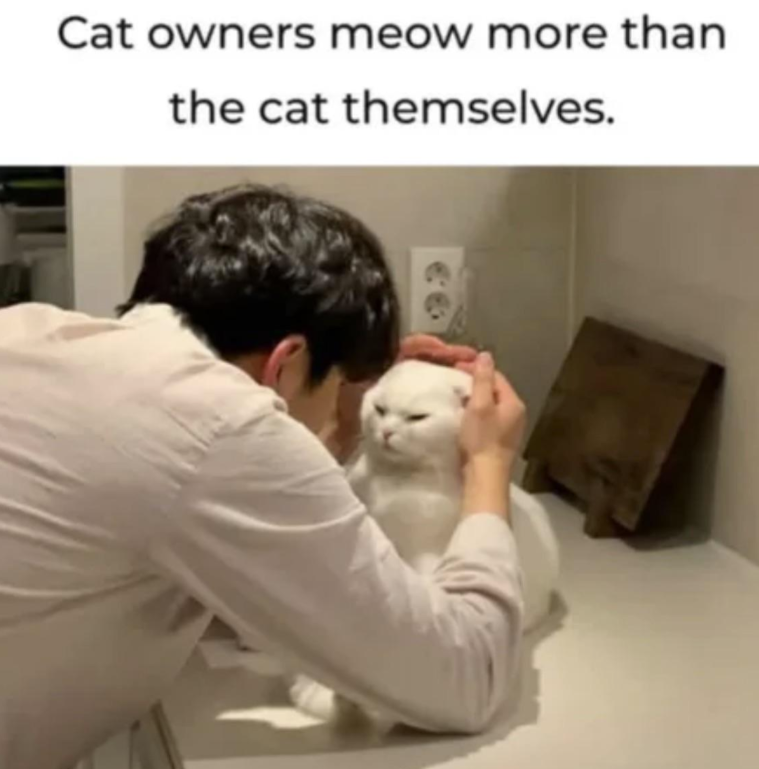cat-owners-meow-more-than-cat-themselves
