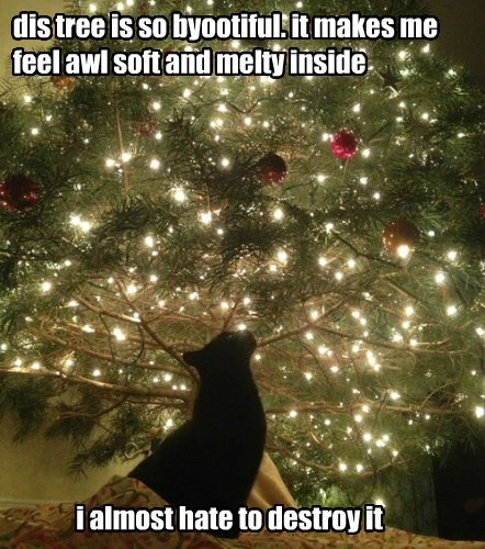 itll-make-lovely-rubble