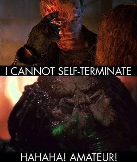 cannot-self-terminate-hahaha-amateur