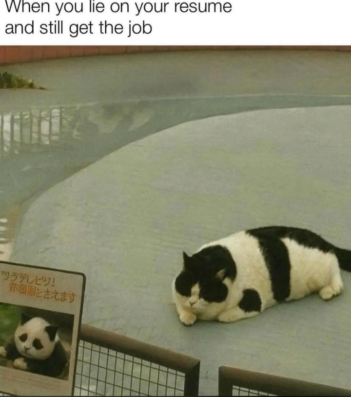 lie-on-resume-and-still-get-job