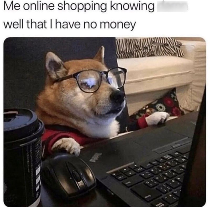online-shopping-knowing-well-have-no-money