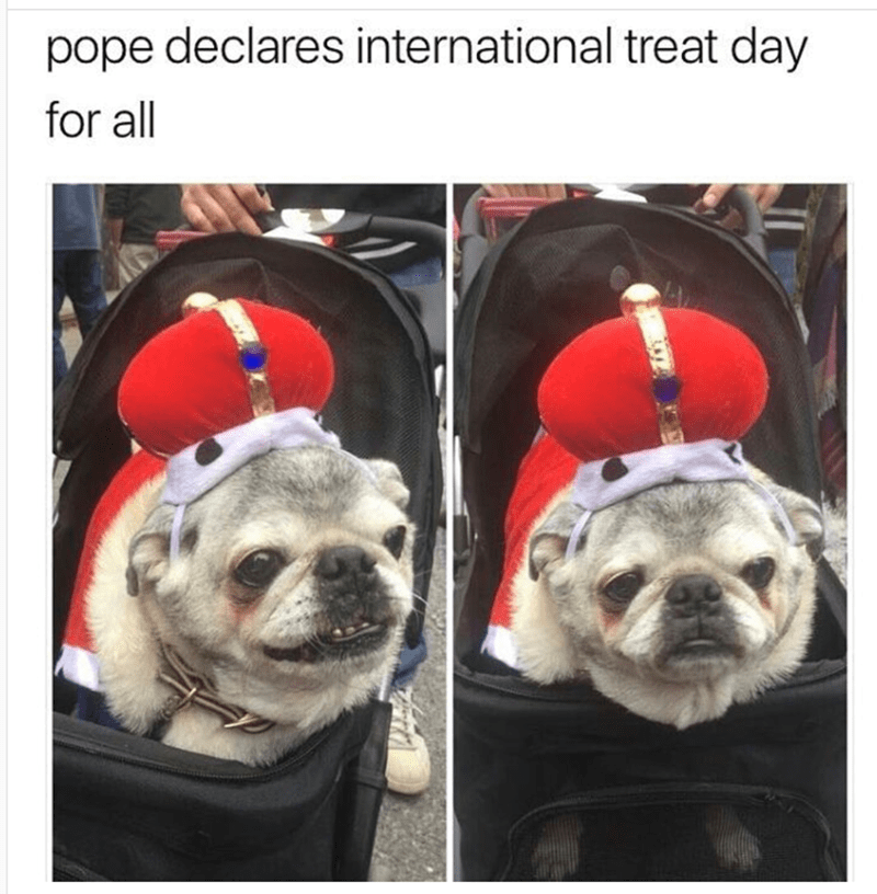 pope-declares-international-treat-day-all